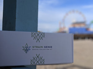 Strain Genie Cannabis DNA Test Kit